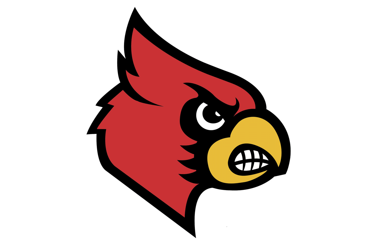Louisville Cardinals Football Helmet