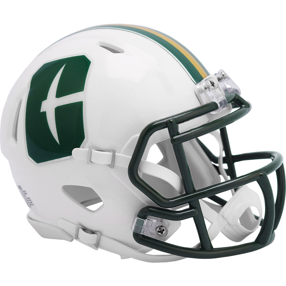 UNC Charlotte 49ers Riddell Speed Mini Helmet – The Speedy Cheetah