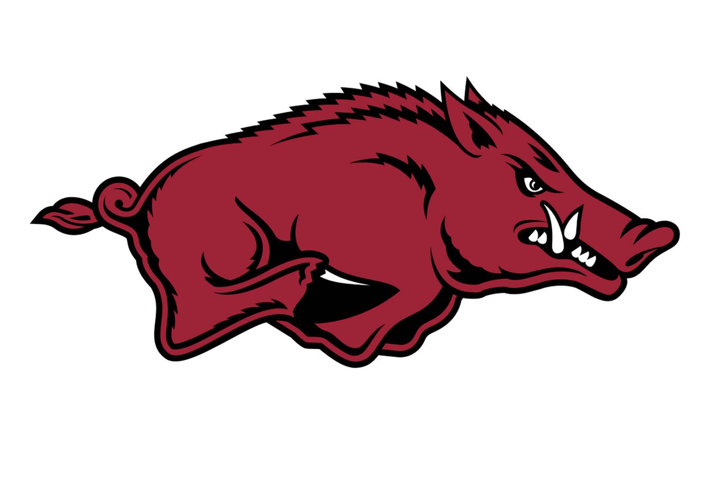 Arkansas Razorbacks Football Helmet