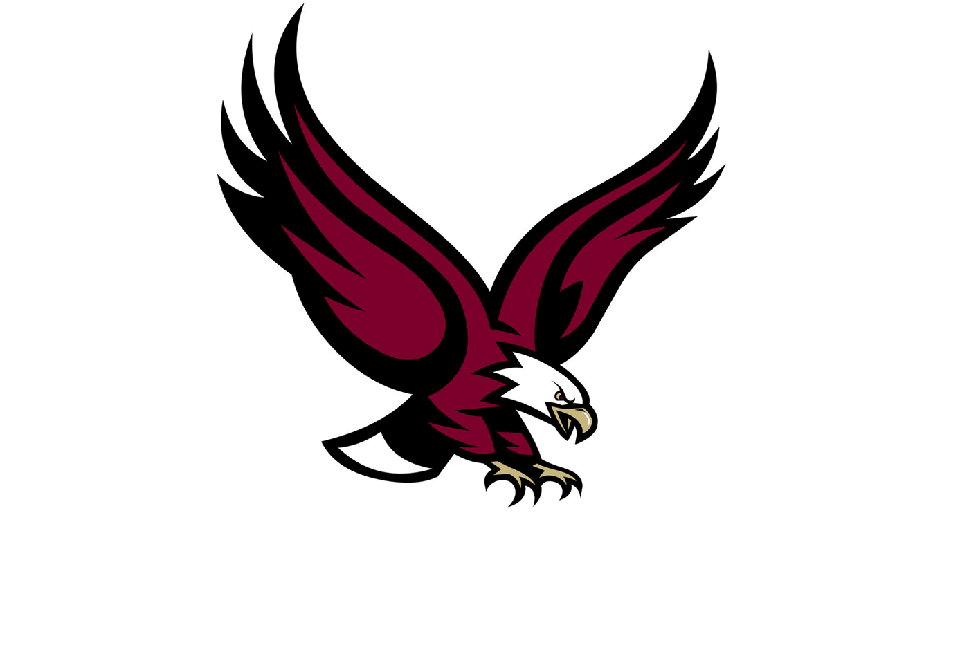 Boston College Eagles Helmet
