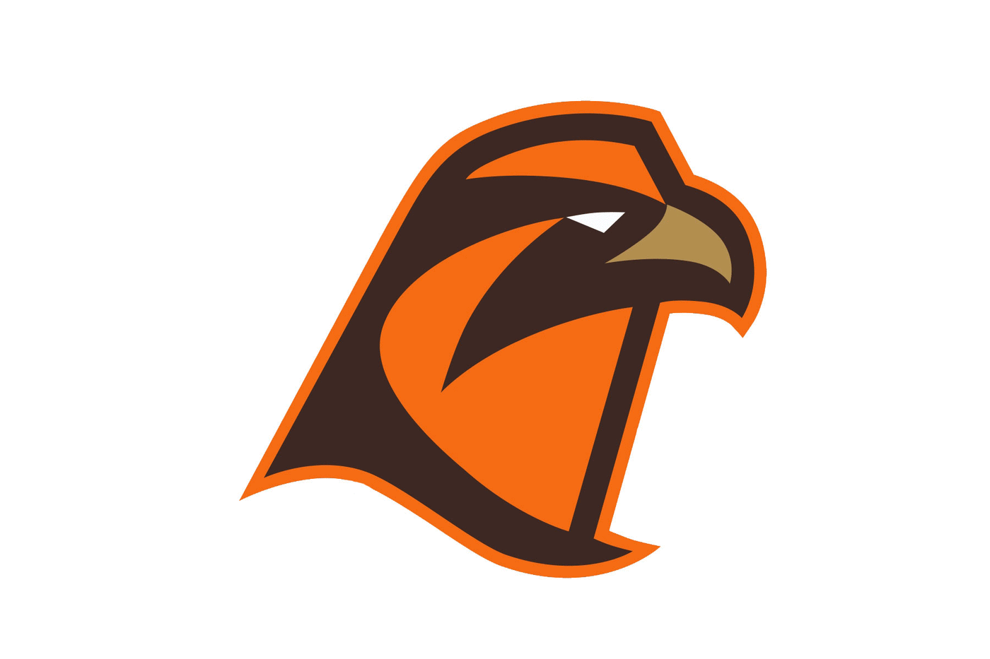 Bowling Green Falcons Helmet