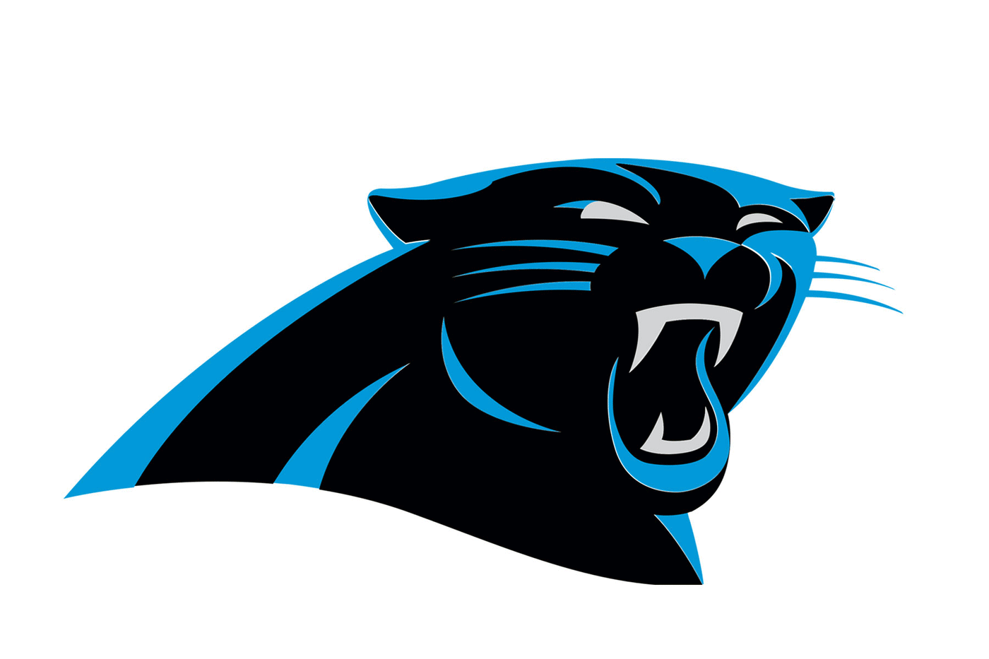Carolina Panthers Football Helmets
