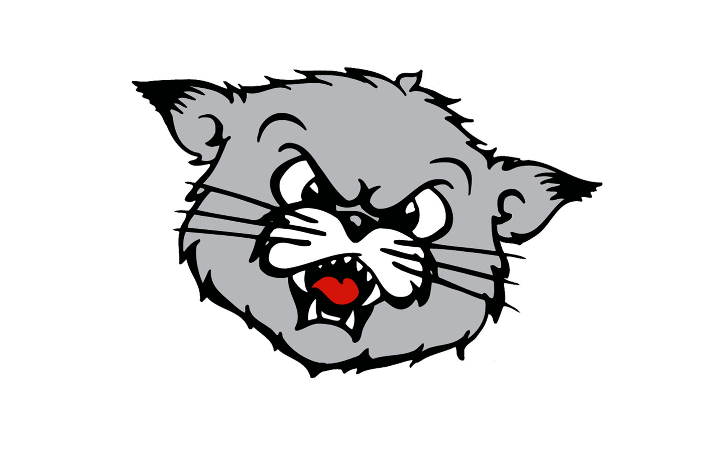 Cincinnati Bearcats Helmet