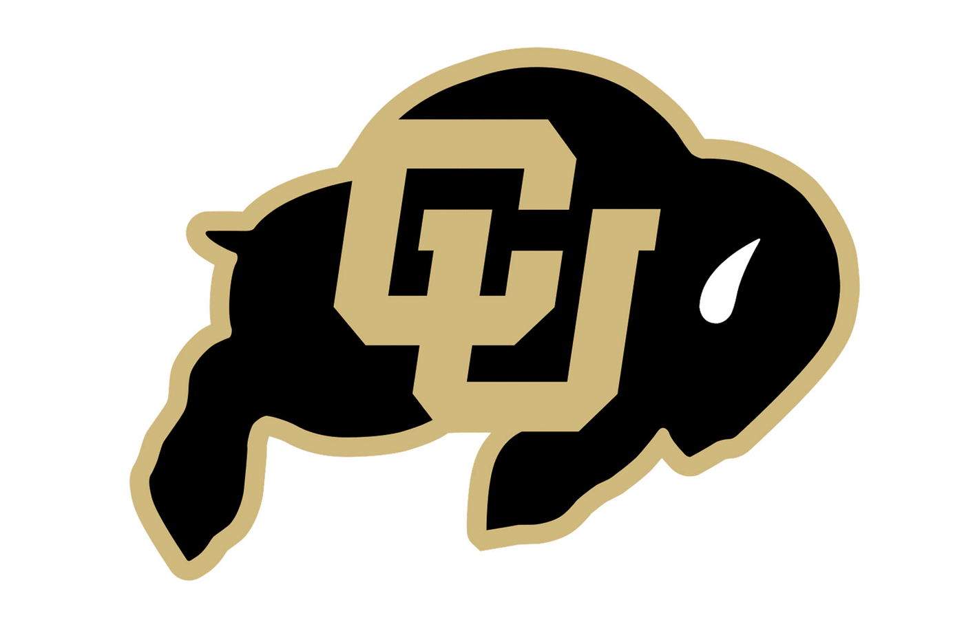 Colorado Buffaloes Football Helmet