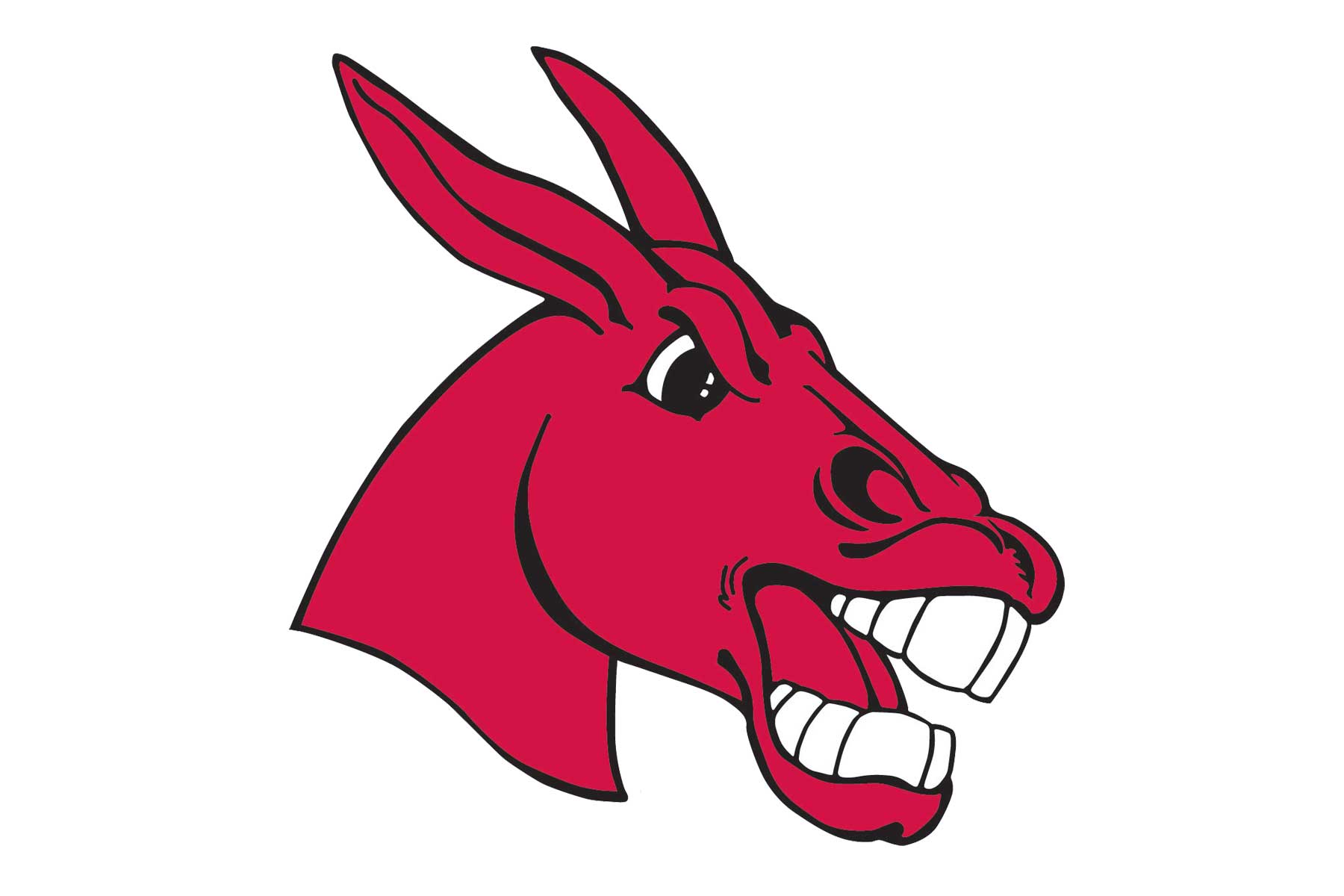 Central Missouri Mules Helmets