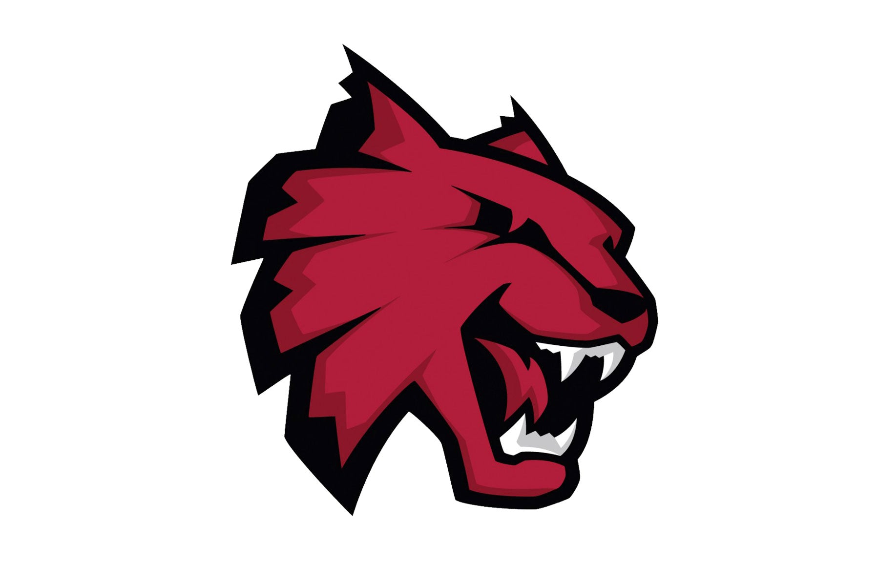 Central Washington Wildcats Helmets