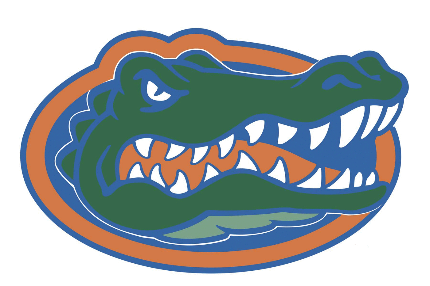 Florida Gators Football Helmet