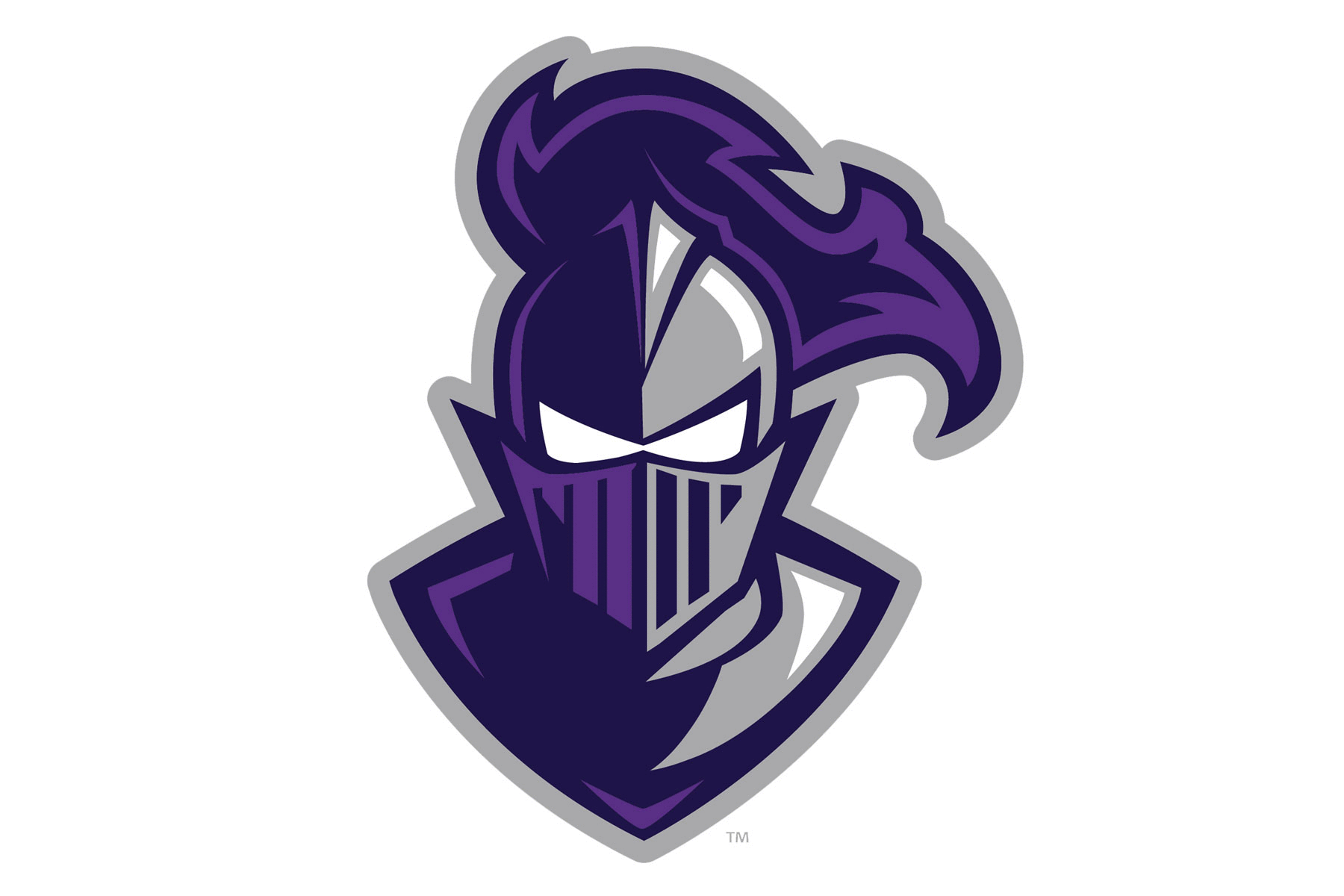 Furman Paladins Helmets