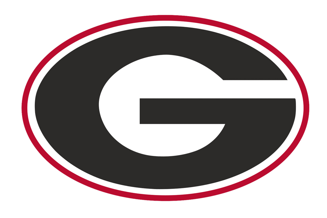 Georgia Bulldogs Helmet