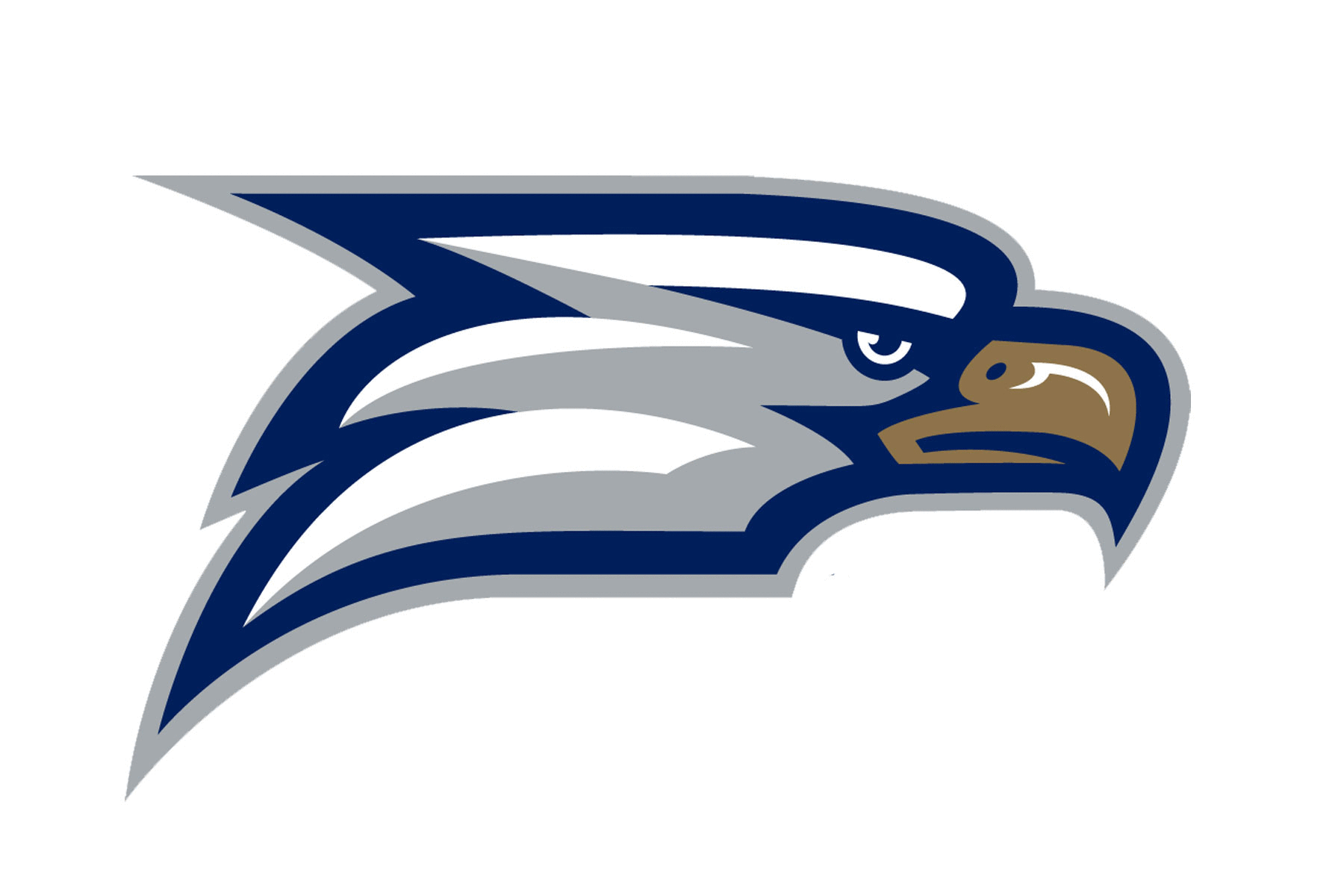 Georgia Southern Eagles Helmets