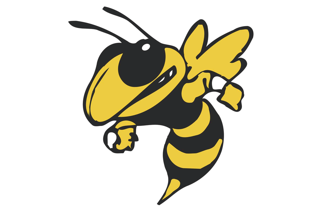 Georgia Tech Yellow Jackets Helmet