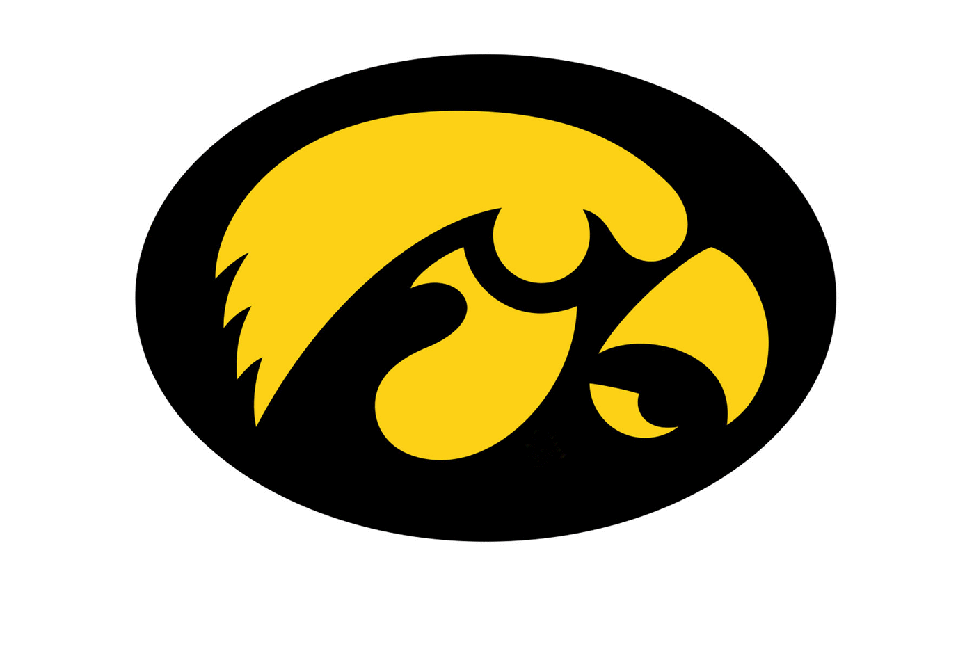 Iowa Hawkeyes Football Helmet