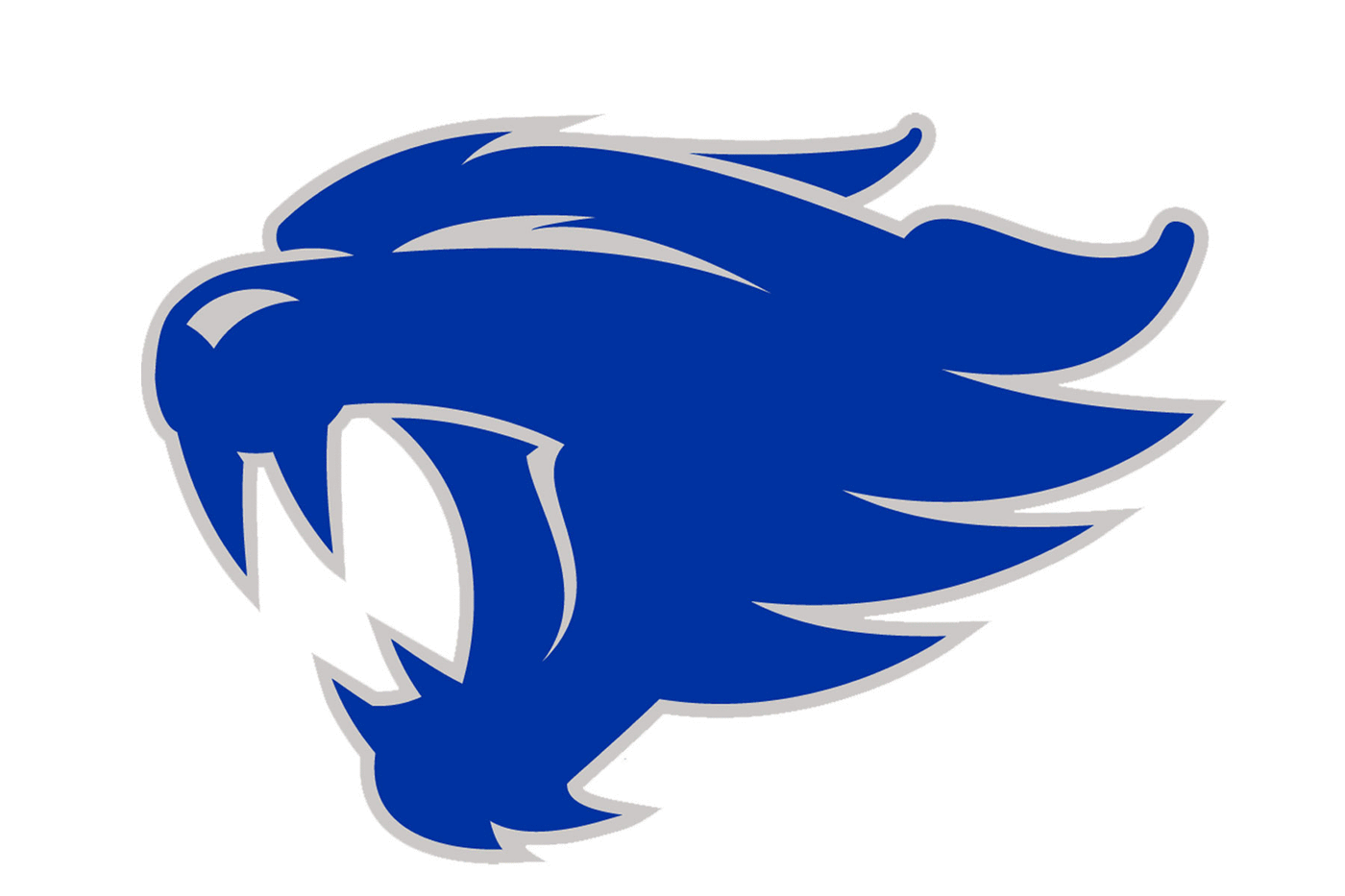 Kentucky Wildcats Football Helmets