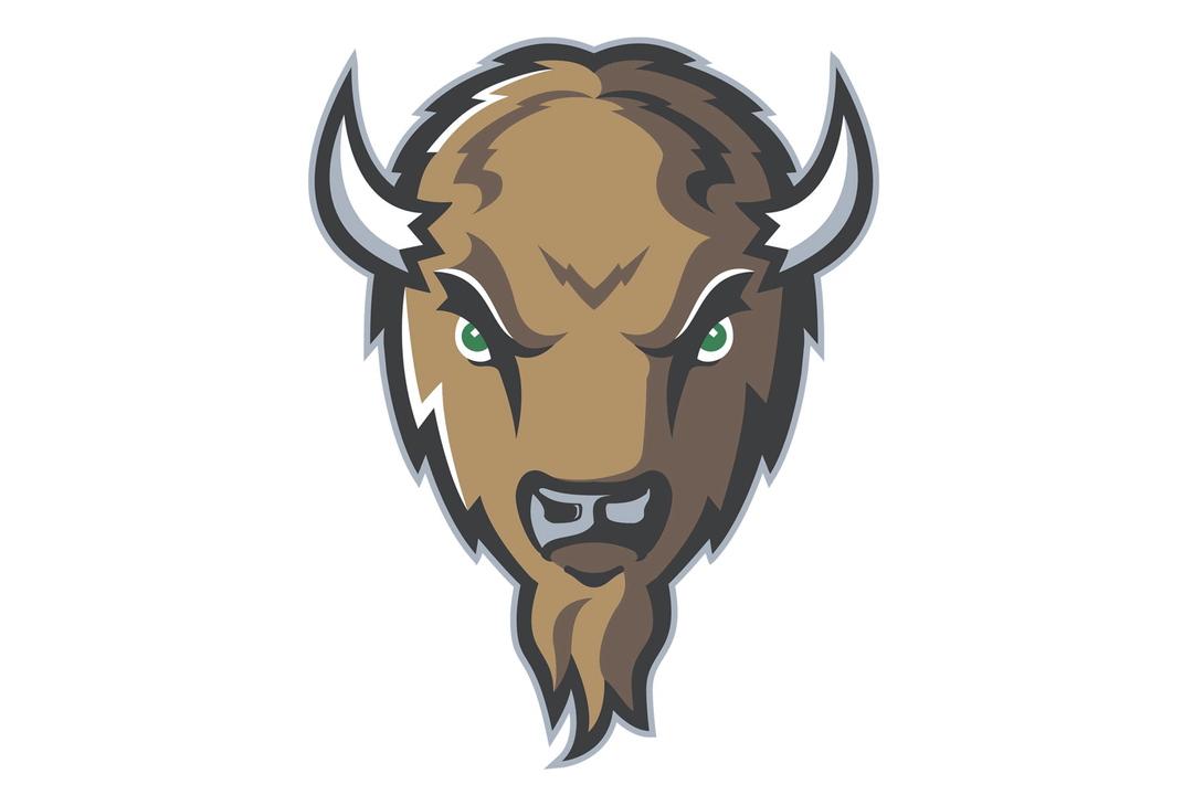 Marshall Thundering Herd Helmet
