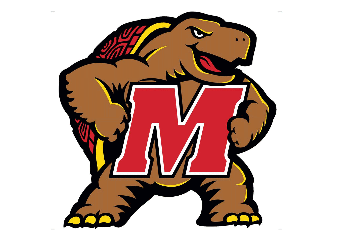 Maryland Terrapins Football Helmet