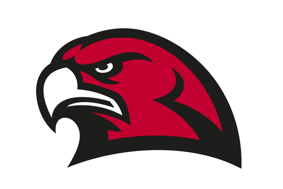 Miami Ohio Redhawks Helmet