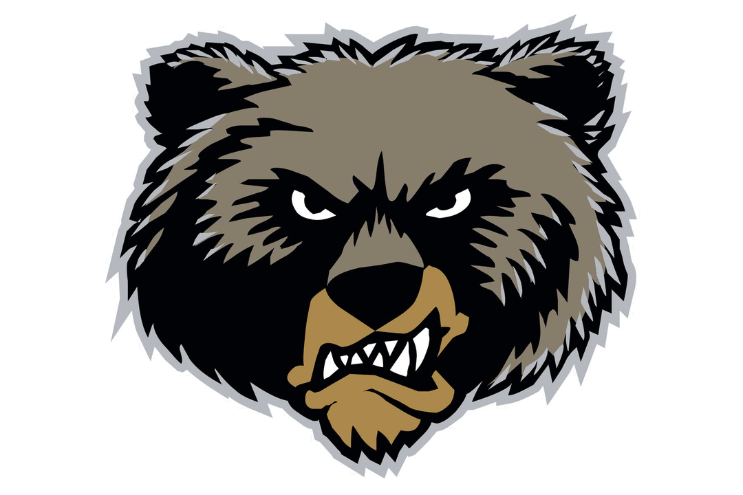Montana Grizzlies Helmet