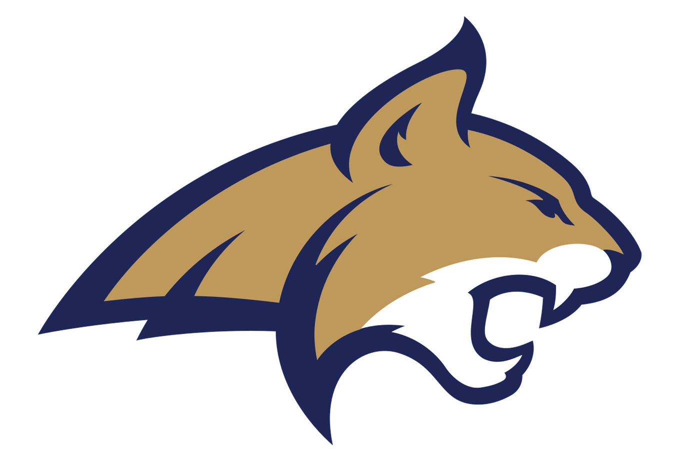 Montana State Bobcats Football Helmet