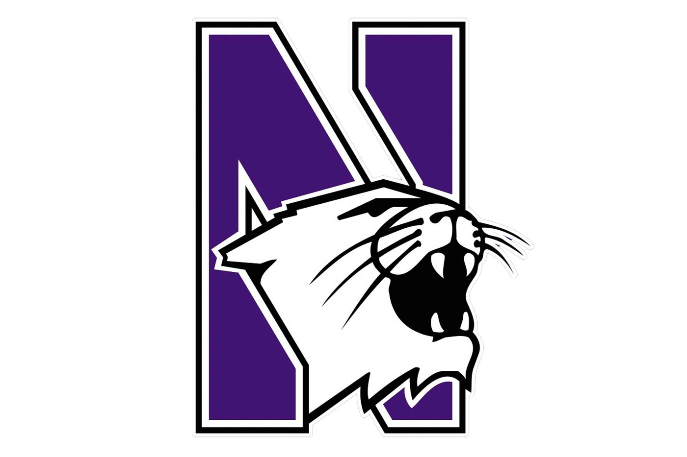 Northwestern Wildcats Football Helmet