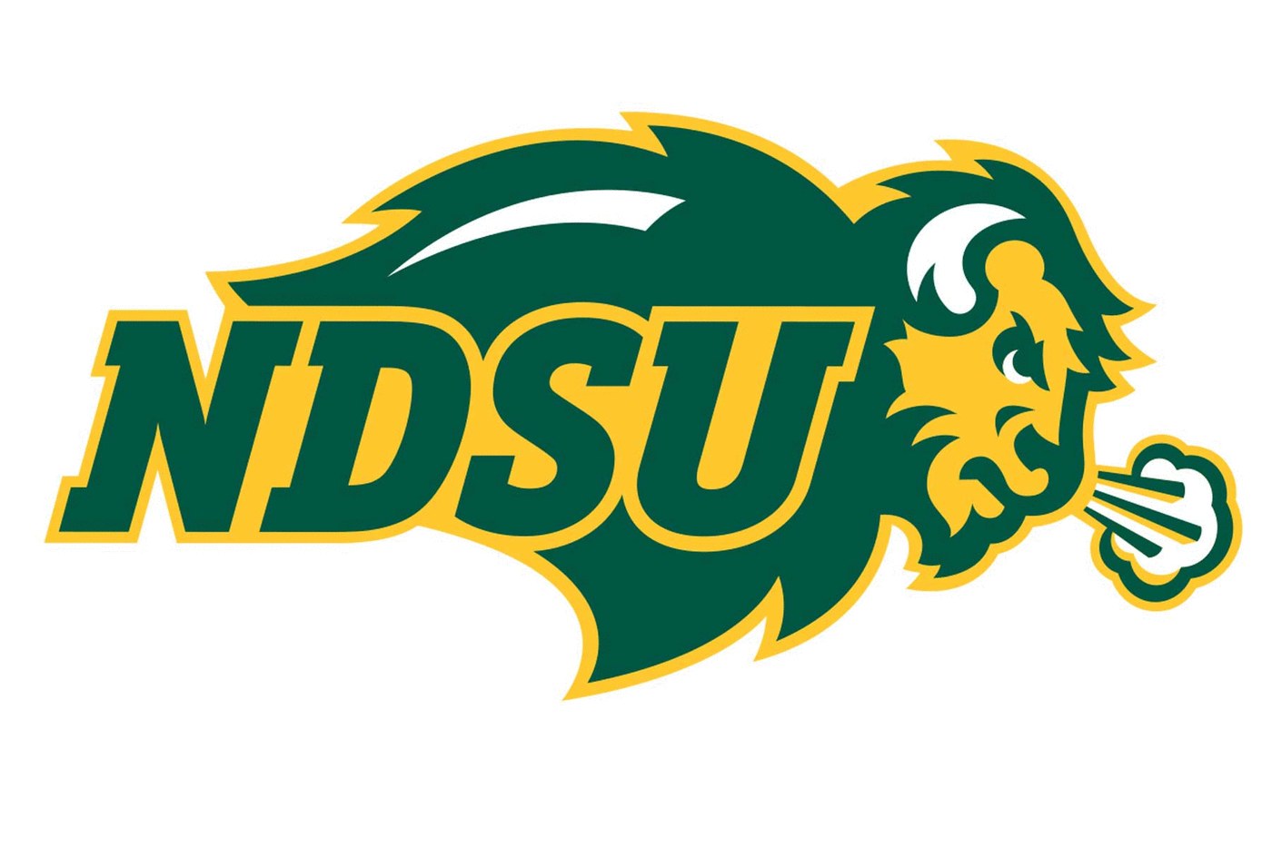 North Dakota St. Bison Football Helmet