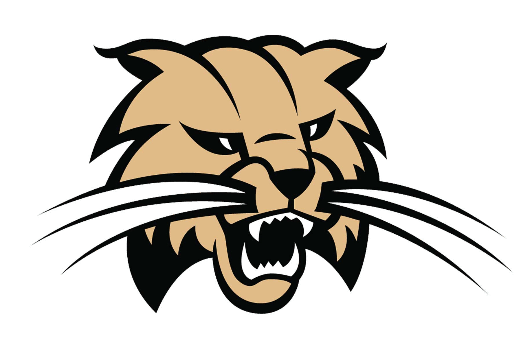 Ohio Bobcats Helmets