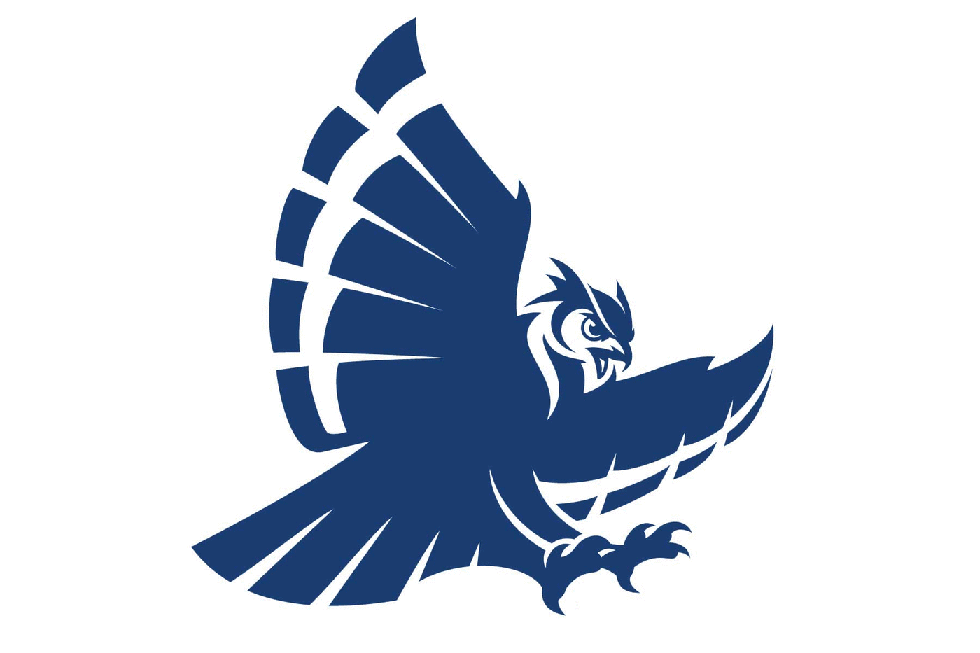 Rice Owls Football Helmet