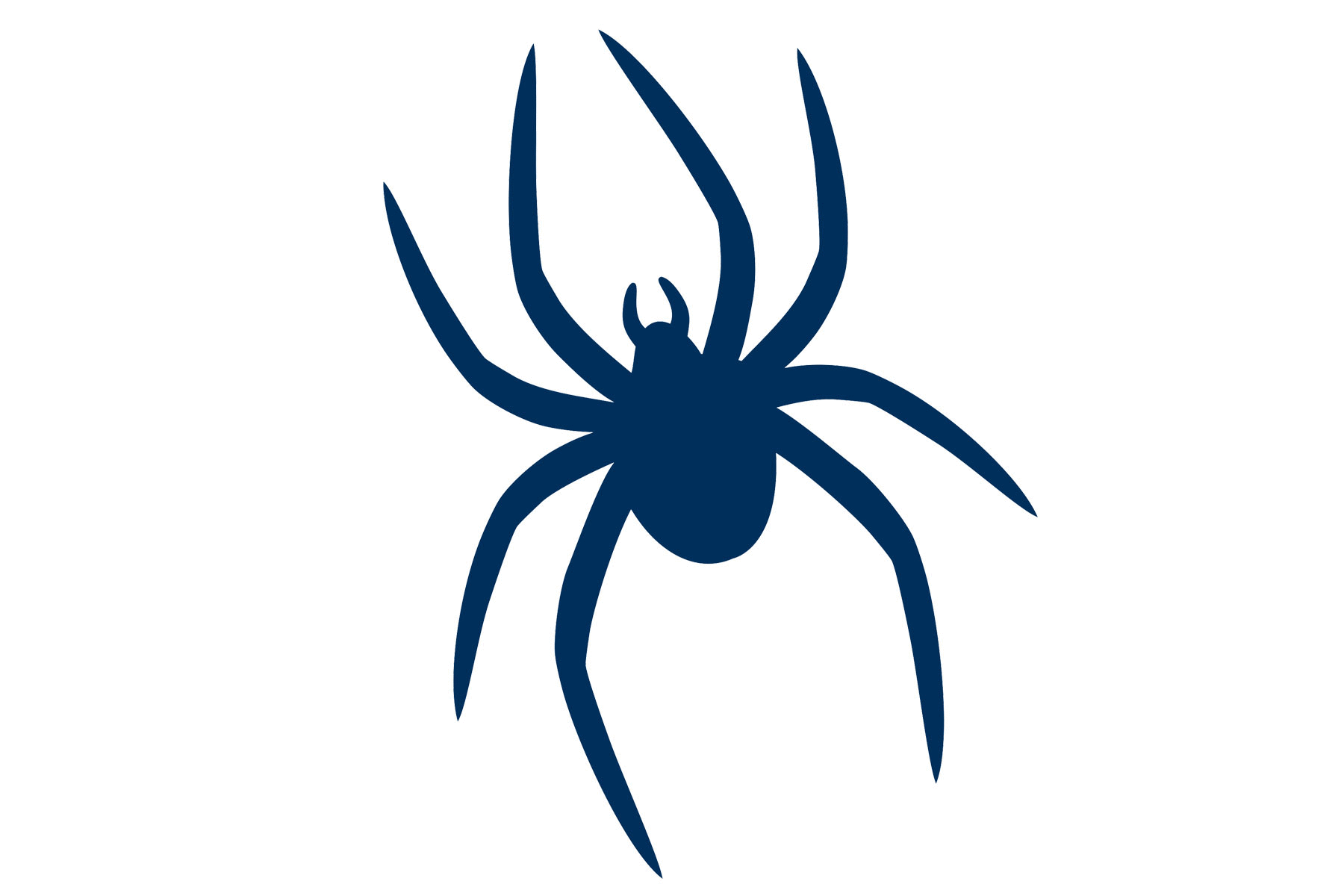 Richmond Spiders Helmets