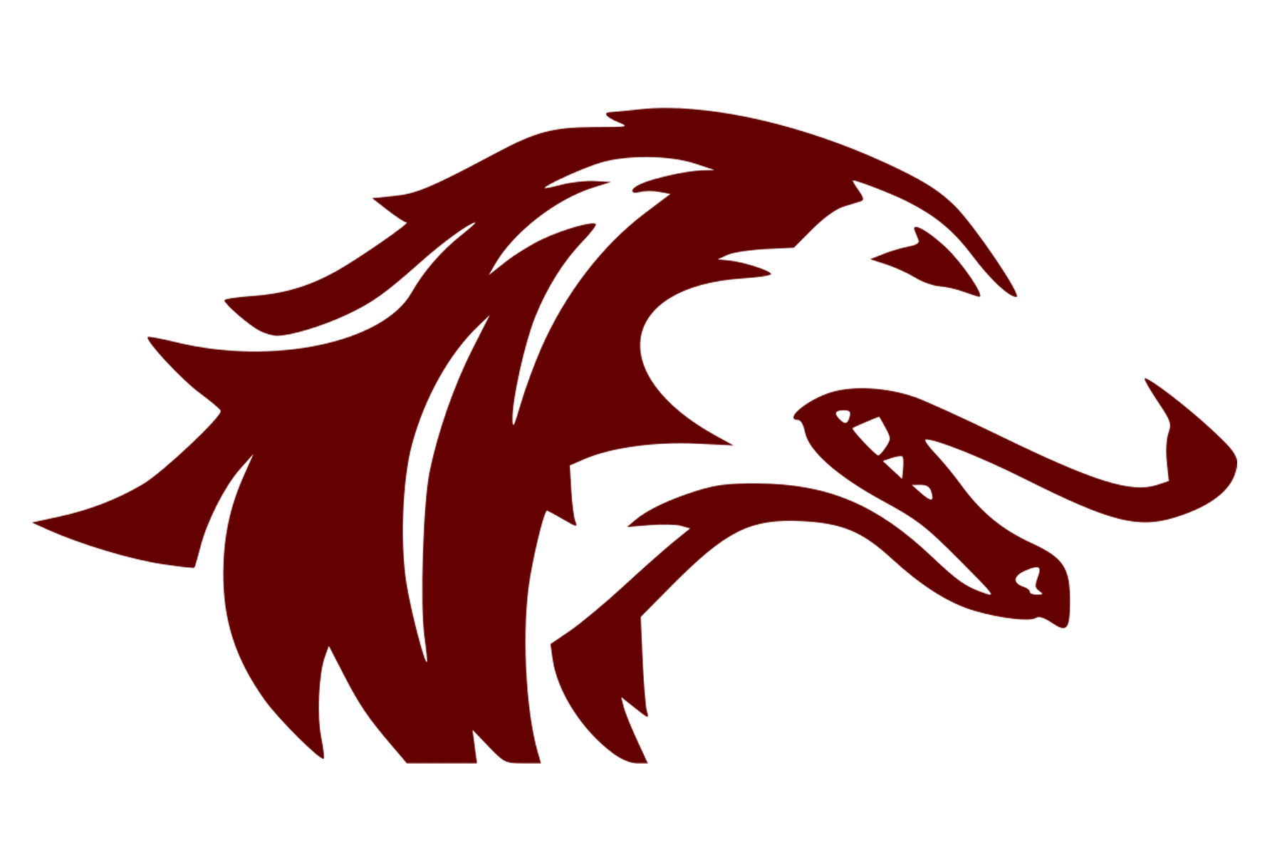 Southern Illinois Salukis Helmet