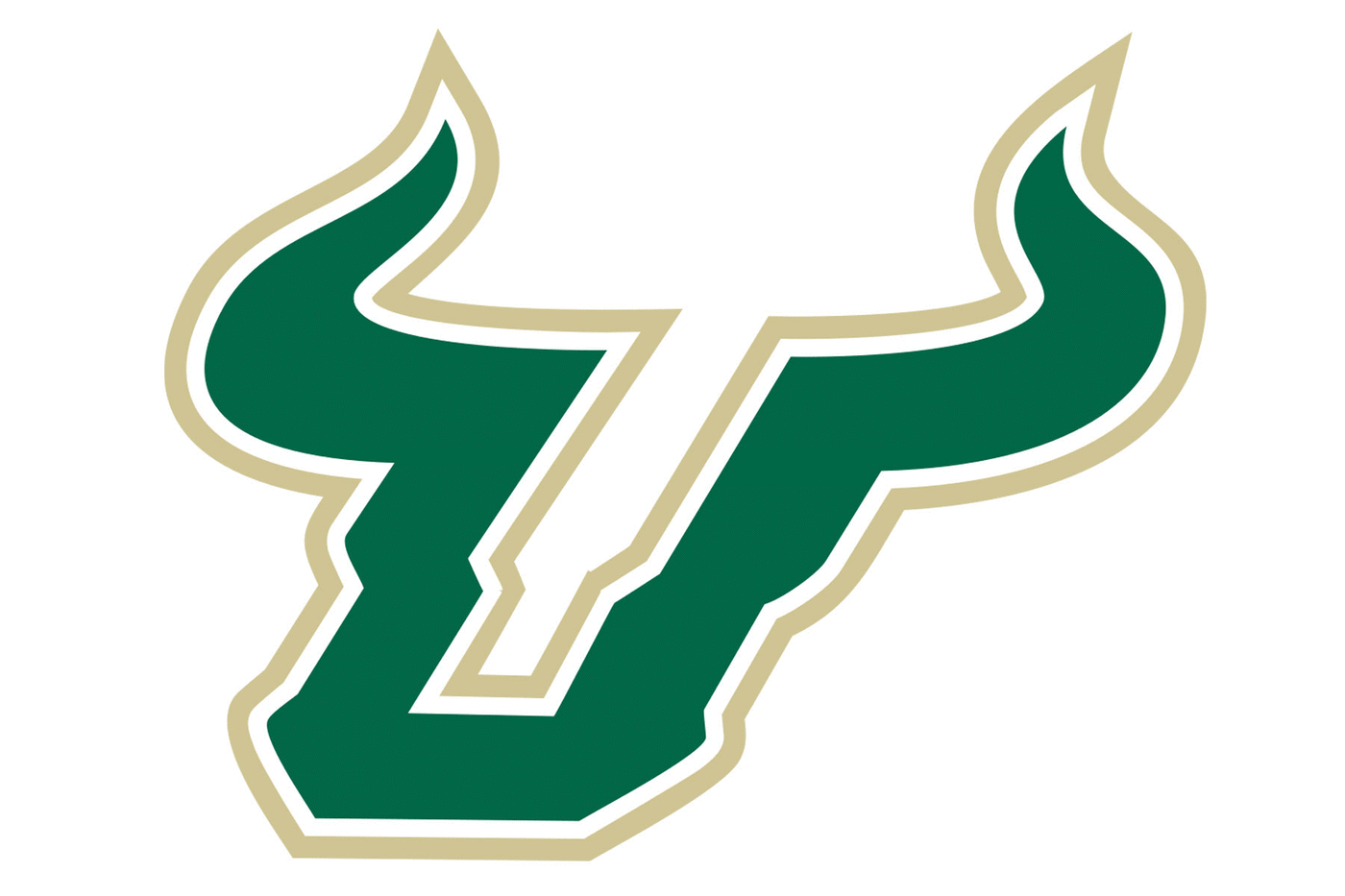 South Florida Bulls Football Helmet