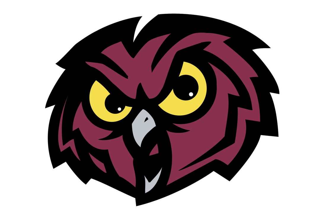 Temple Owls Helmet