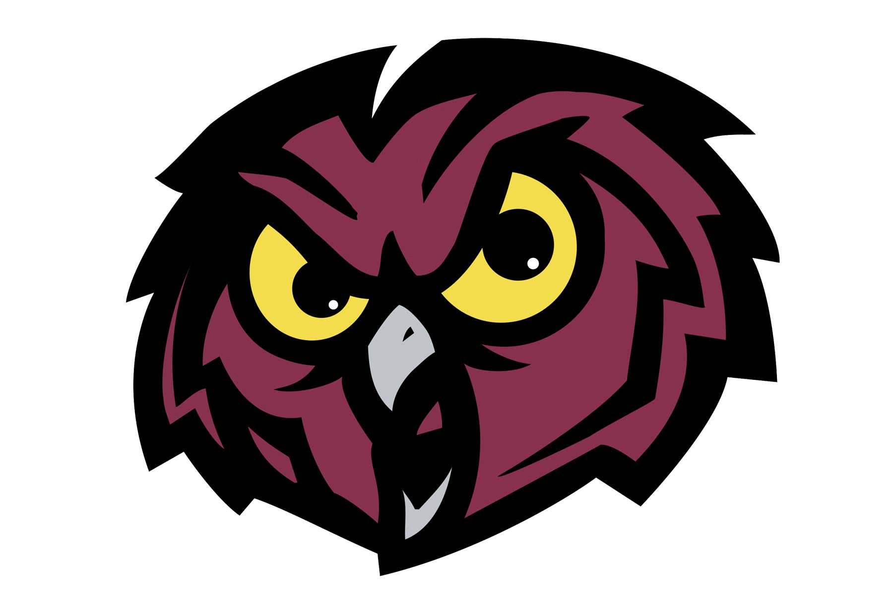 Temple Owls Helmet