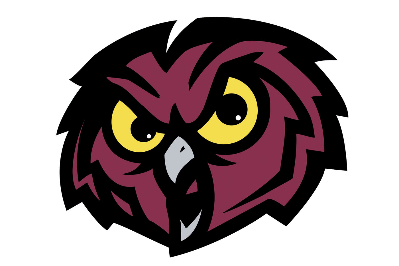 Temple Owls Football Helmet