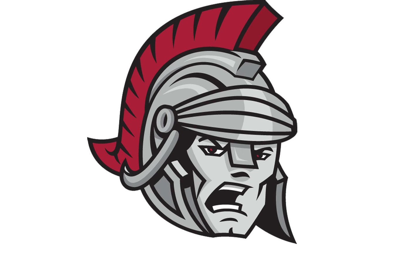 Troy State Trojans Helmet