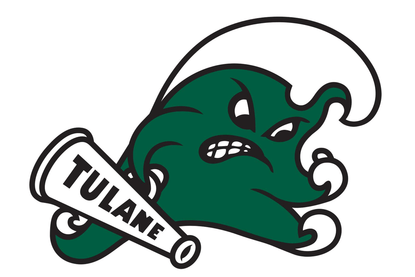 Tulane Green Wave Helmet
