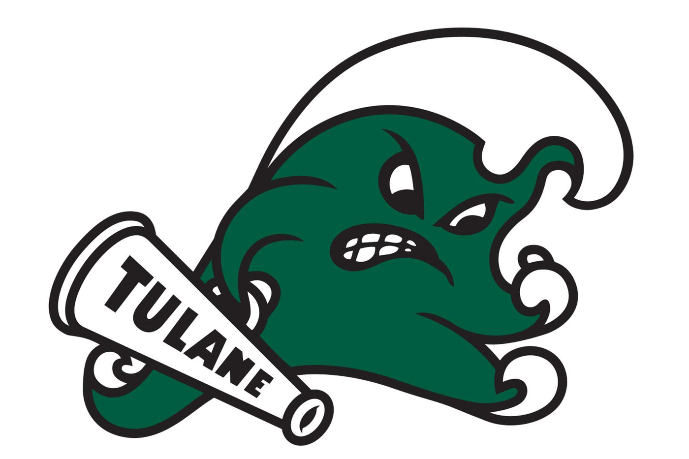 Tulane Green Wave Football Helmet