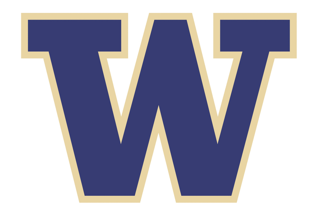 Washington Huskies Helmet