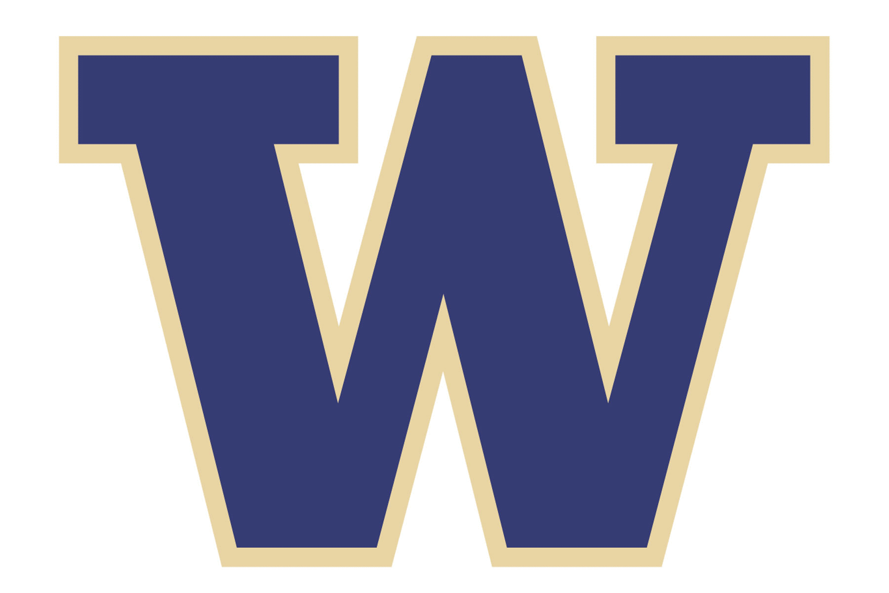 Washington Huskies Helmet