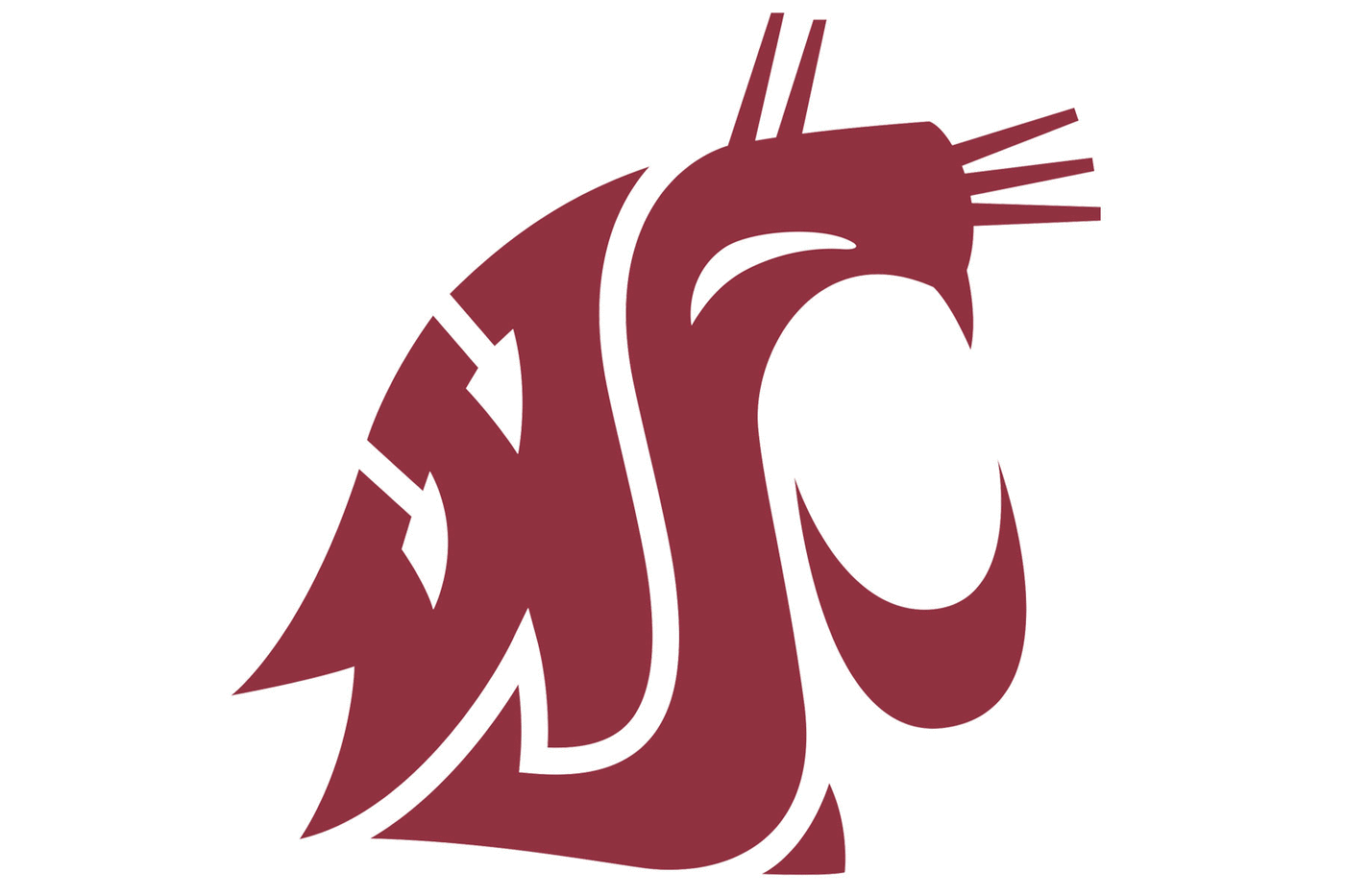 Washington State Cougars Helmet