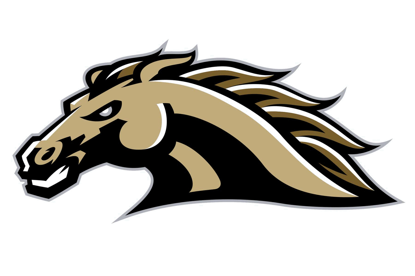 WMU Broncos Football Helmet