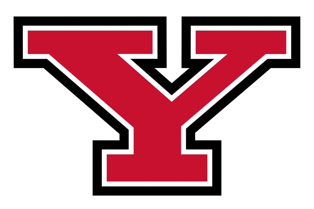Youngstown State Penguins Helmet