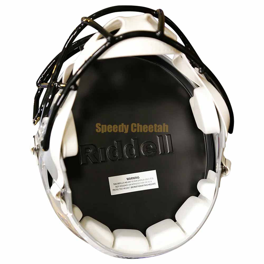 Carolina Panthers Riddell Speed Replica Helmet – The Speedy Cheetah