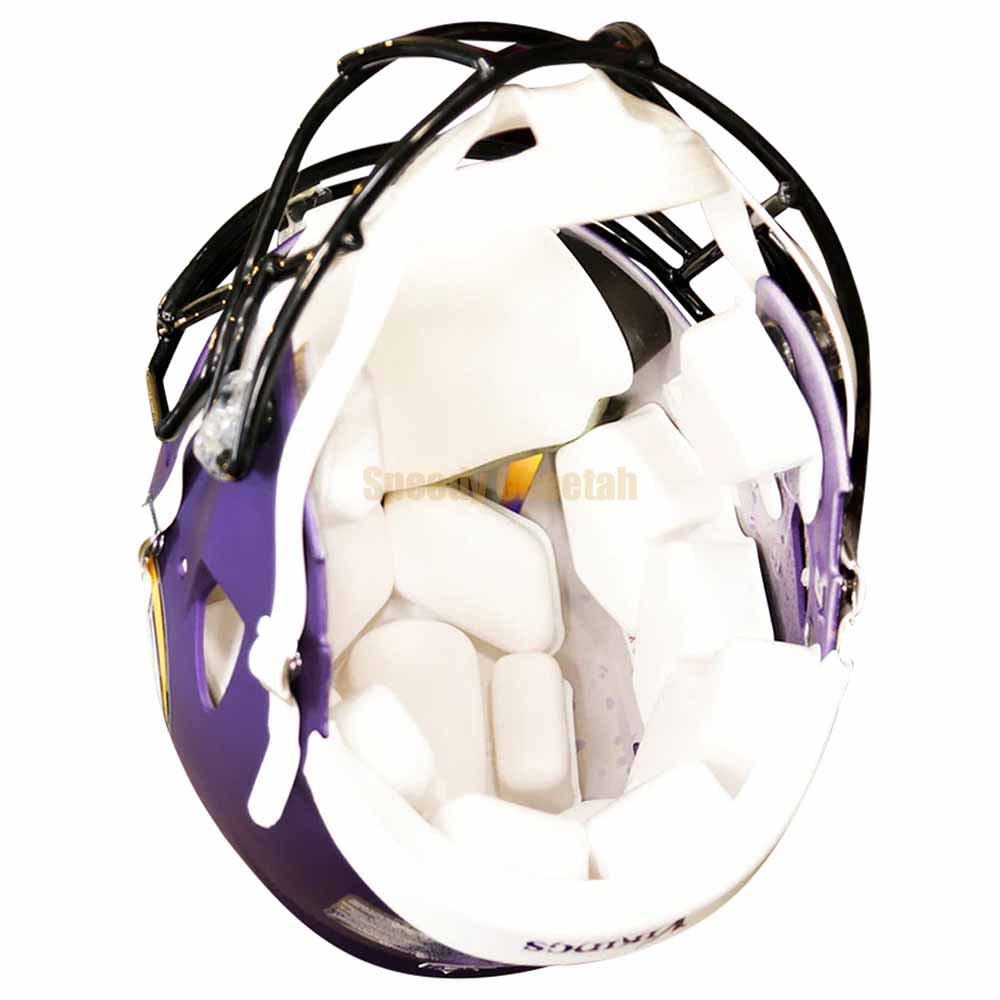 minnesota vikings speedflex helmet Adrian Peterson Signed Speed Flex Authentic STS 4 NF Super Sports Center 8060059 Vikings QB Daniel Jones is