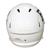 Baylor Bears Riddell Speed Full Size Replica Football Helmet